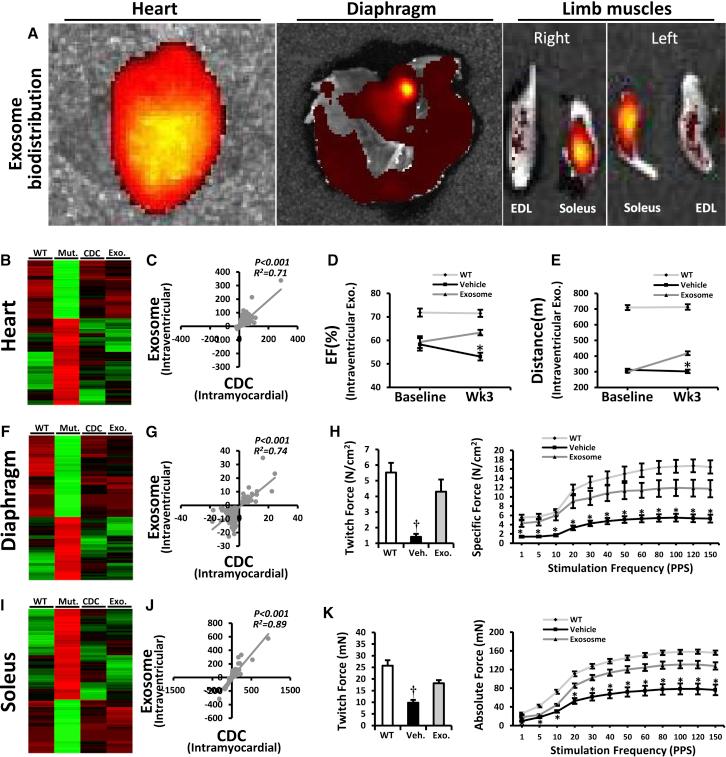 https://cdn.ncbi.nlm.nih.gov/pmc/blobs/71ce/5918344/a3bb6db8ea25/gr4.jpg