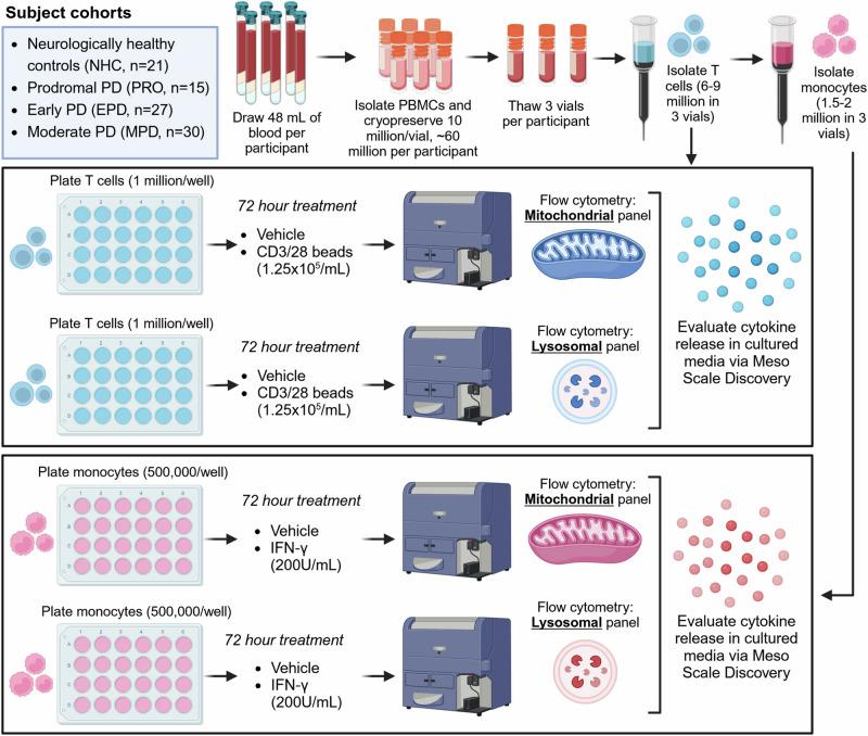 https://cdn.ncbi.nlm.nih.gov/pmc/blobs/71d0/12062209/b25864dfe4ad/42003_2025_8088_Fig1_HTML.jpg