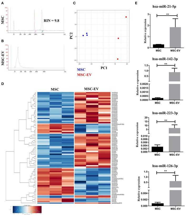 https://cdn.ncbi.nlm.nih.gov/pmc/blobs/71d1/6237916/02c7137b034c/fimmu-09-02538-g0006.jpg
