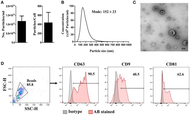 https://cdn.ncbi.nlm.nih.gov/pmc/blobs/71d1/6237916/9644a698a348/fimmu-09-02538-g0001.jpg