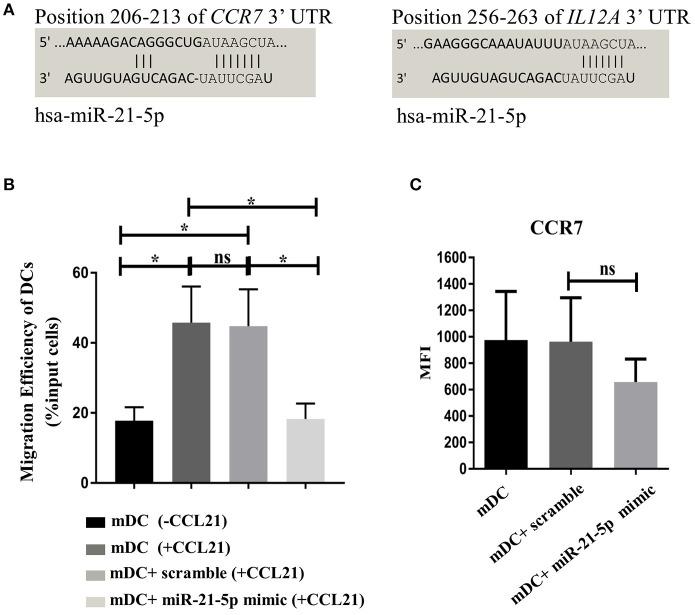 https://cdn.ncbi.nlm.nih.gov/pmc/blobs/71d1/6237916/e92031434f63/fimmu-09-02538-g0007.jpg