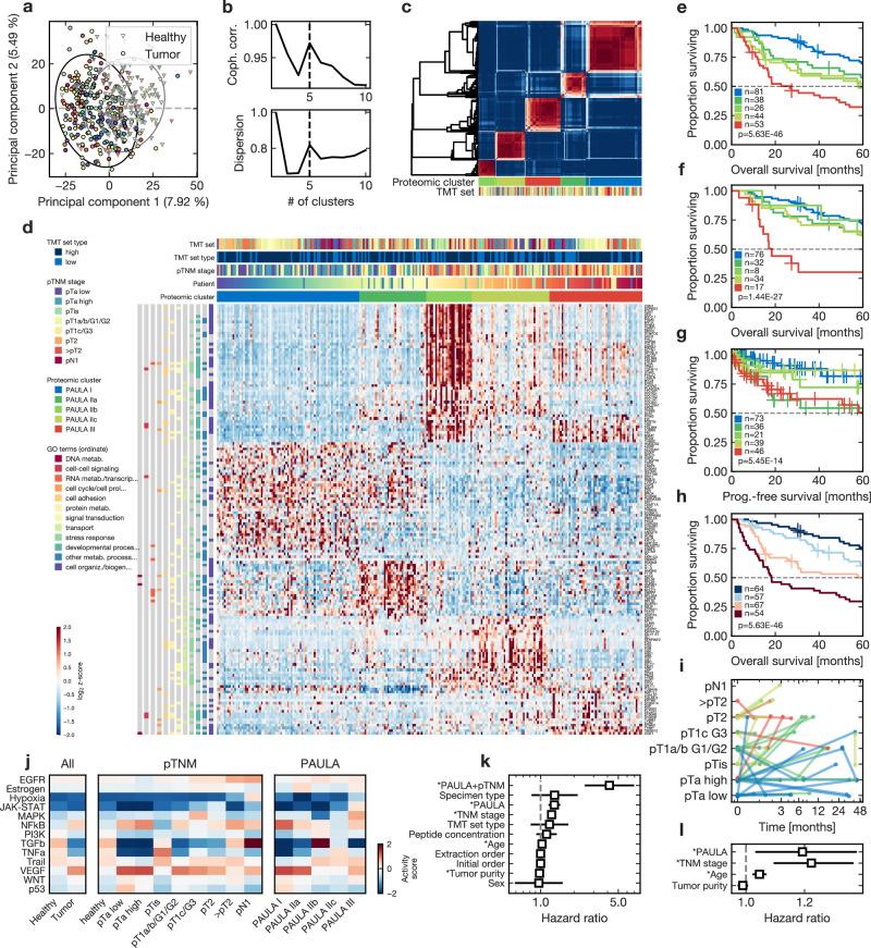 https://cdn.ncbi.nlm.nih.gov/pmc/blobs/71d3/11130393/4d4abe5475d1/41467_2024_48096_Fig3_HTML.jpg