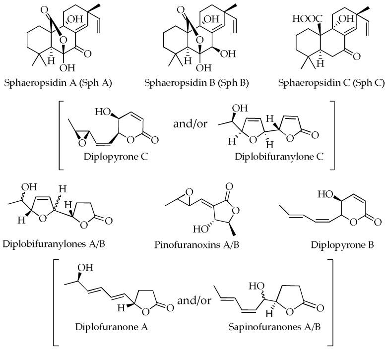 https://cdn.ncbi.nlm.nih.gov/pmc/blobs/71d5/10489718/7a4da36dad39/molecules-28-06302-g003.jpg