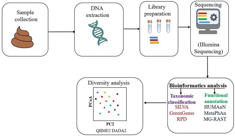 https://cdn.ncbi.nlm.nih.gov/pmc/blobs/71db/12417494/8611e2bc4e3d/fmicb-16-1626002-g001.jpg