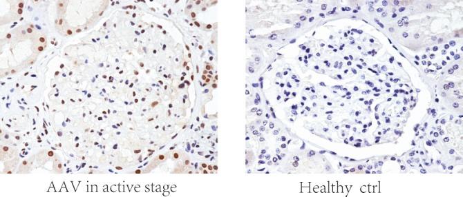 https://cdn.ncbi.nlm.nih.gov/pmc/blobs/71db/4739550/d7682be980d8/pone.0148197.g003.jpg