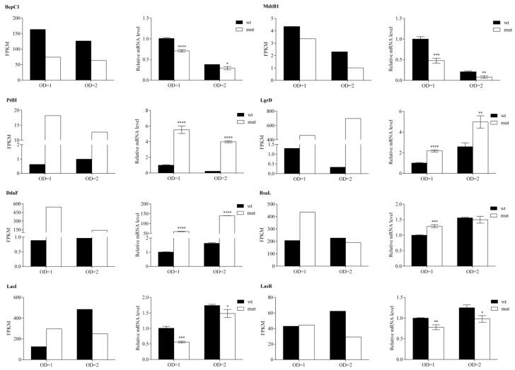 https://cdn.ncbi.nlm.nih.gov/pmc/blobs/71db/9331949/0a45f94dd618/ijms-23-08232-g005.jpg