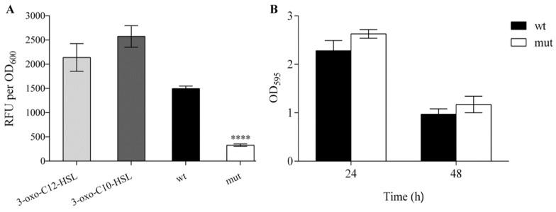 https://cdn.ncbi.nlm.nih.gov/pmc/blobs/71db/9331949/46838b1423c7/ijms-23-08232-g006.jpg