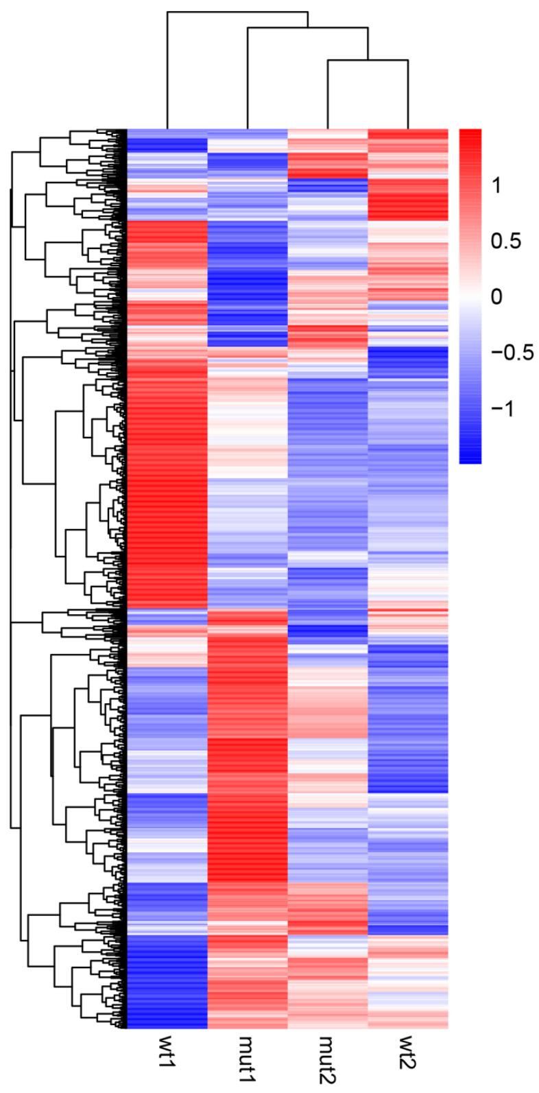 https://cdn.ncbi.nlm.nih.gov/pmc/blobs/71db/9331949/e3ea377752fa/ijms-23-08232-g002.jpg