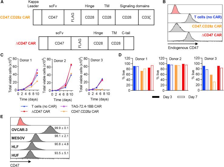 https://cdn.ncbi.nlm.nih.gov/pmc/blobs/71dc/7868933/937b39f880c9/gr4.jpg