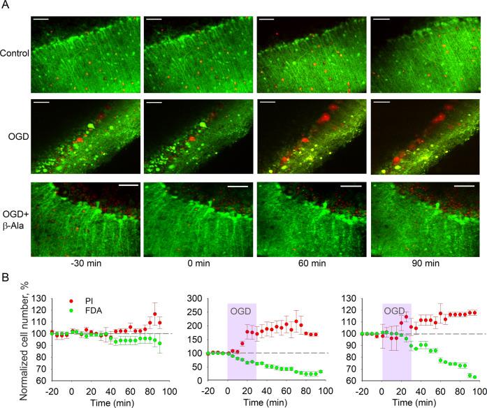 https://cdn.ncbi.nlm.nih.gov/pmc/blobs/71de/9424312/6d69fcbdadfc/41419_2022_5159_Fig2_HTML.jpg