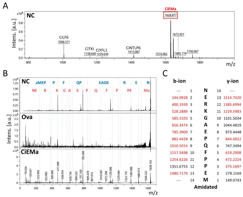 https://cdn.ncbi.nlm.nih.gov/pmc/blobs/71e1/10888236/8f004c021e6d/ijms-25-01979-g001.jpg