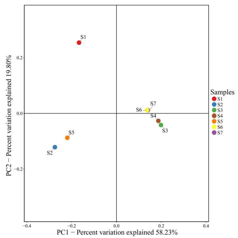 https://cdn.ncbi.nlm.nih.gov/pmc/blobs/71e1/7460318/b3c6bc61b13d/ijerph-17-05680-g003.jpg