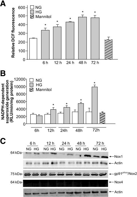 https://cdn.ncbi.nlm.nih.gov/pmc/blobs/71e5/2671039/0ad66f068882/zdb0050957150001.jpg