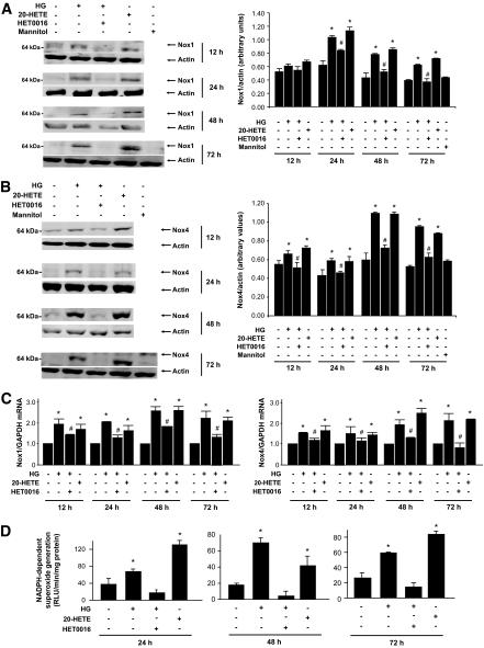 https://cdn.ncbi.nlm.nih.gov/pmc/blobs/71e5/2671039/7226c298b96b/zdb0050957150004.jpg