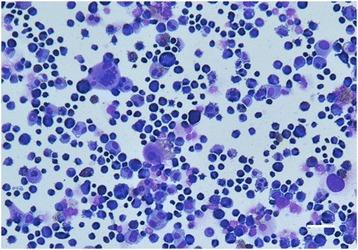 https://cdn.ncbi.nlm.nih.gov/pmc/blobs/71e8/5831740/cc6336e63409/12885_2018_4132_Fig2_HTML.jpg