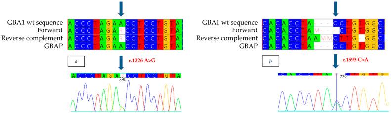 https://cdn.ncbi.nlm.nih.gov/pmc/blobs/71ed/12028185/73660cd412f0/ijms-26-03918-g008.jpg