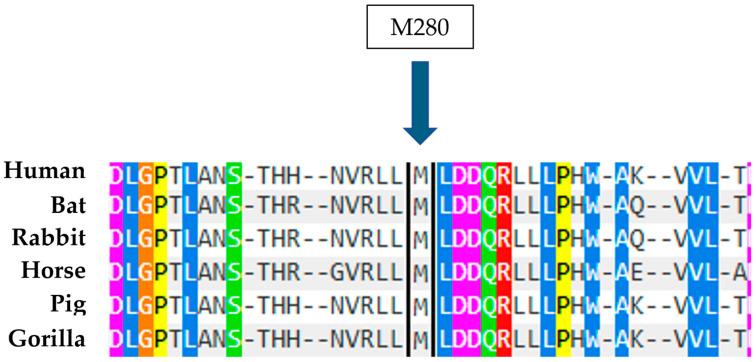 https://cdn.ncbi.nlm.nih.gov/pmc/blobs/71ed/12028185/bc30406ed989/ijms-26-03918-g012.jpg