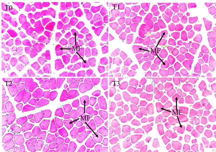 https://cdn.ncbi.nlm.nih.gov/pmc/blobs/71ef/10160581/33e2b06c253f/gr5.jpg