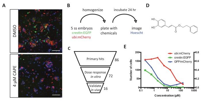 https://cdn.ncbi.nlm.nih.gov/pmc/blobs/71f0/5599238/f47807bfcee3/elife-29145-fig1.jpg