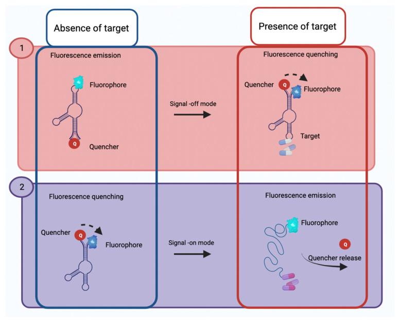 https://cdn.ncbi.nlm.nih.gov/pmc/blobs/71f3/9775161/2a904fd9fb0f/biosensors-12-01078-g004.jpg