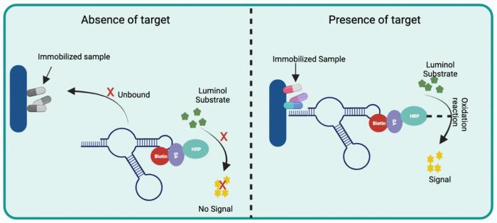 https://cdn.ncbi.nlm.nih.gov/pmc/blobs/71f3/9775161/729389bed774/biosensors-12-01078-g005.jpg