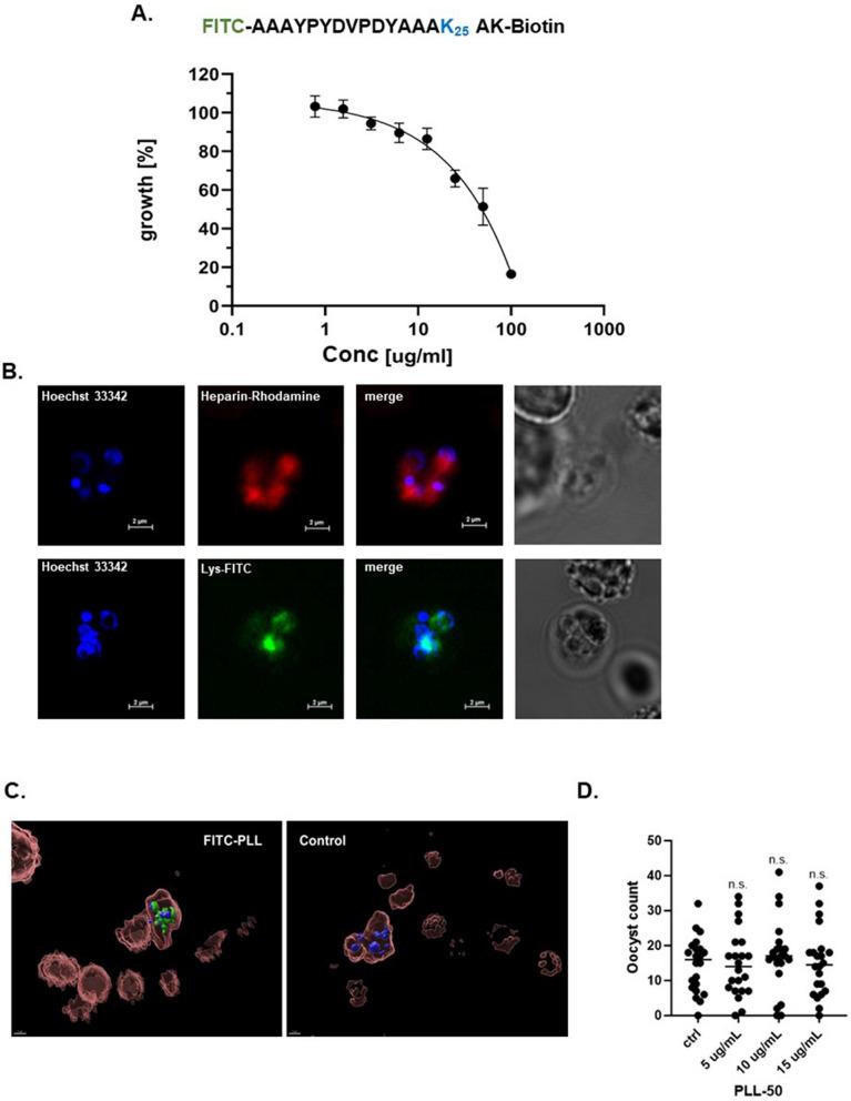 https://cdn.ncbi.nlm.nih.gov/pmc/blobs/71f5/11295857/7a8615e73415/12936_2024_5056_Fig4_HTML.jpg