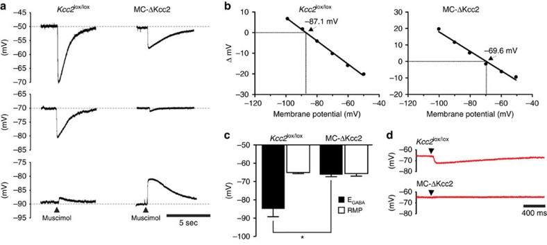 https://cdn.ncbi.nlm.nih.gov/pmc/blobs/71f6/4941119/5180d37305c4/ncomms12043-f2.jpg