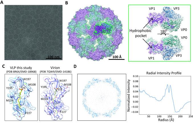 https://cdn.ncbi.nlm.nih.gov/pmc/blobs/71f7/11793780/514a2efd42c9/ppat.1012873.g002.jpg