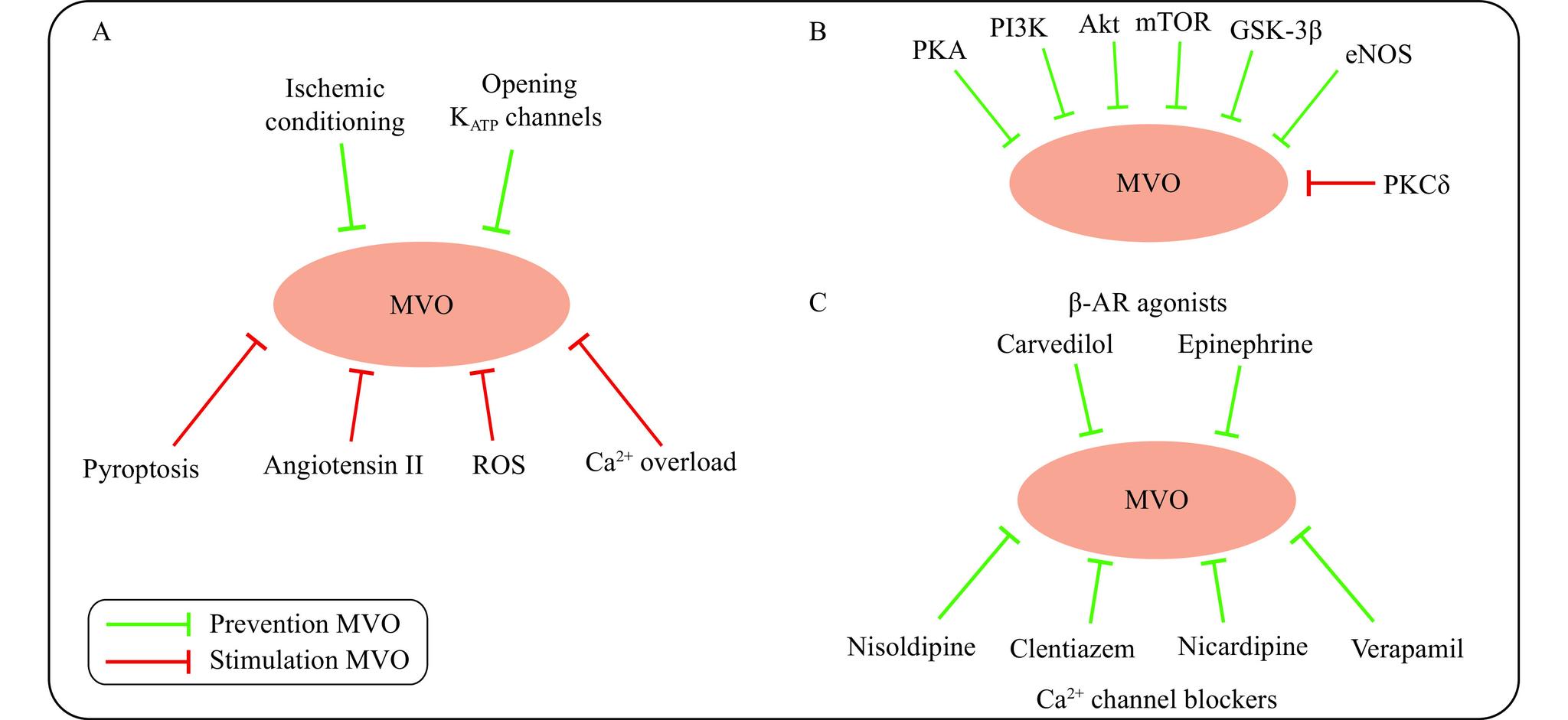 https://cdn.ncbi.nlm.nih.gov/pmc/blobs/71f8/10387746/8b9dc327079b/jbr-37-4-281-1.jpg