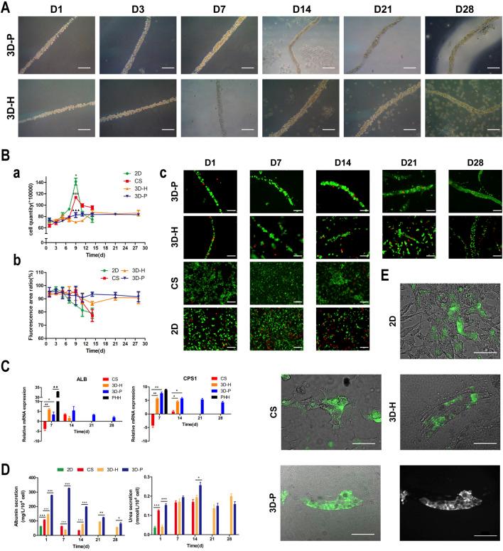 https://cdn.ncbi.nlm.nih.gov/pmc/blobs/71f9/8968918/a98864e8d44c/fbioe-10-826093-g002.jpg