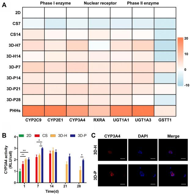 https://cdn.ncbi.nlm.nih.gov/pmc/blobs/71f9/8968918/c5824d206d63/fbioe-10-826093-g003.jpg