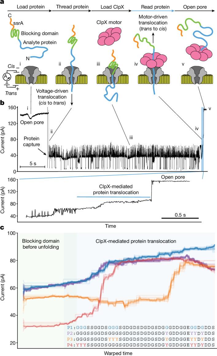 https://cdn.ncbi.nlm.nih.gov/pmc/blobs/71fb/11410661/cd844b723bb1/41586_2024_7935_Fig1_HTML.jpg