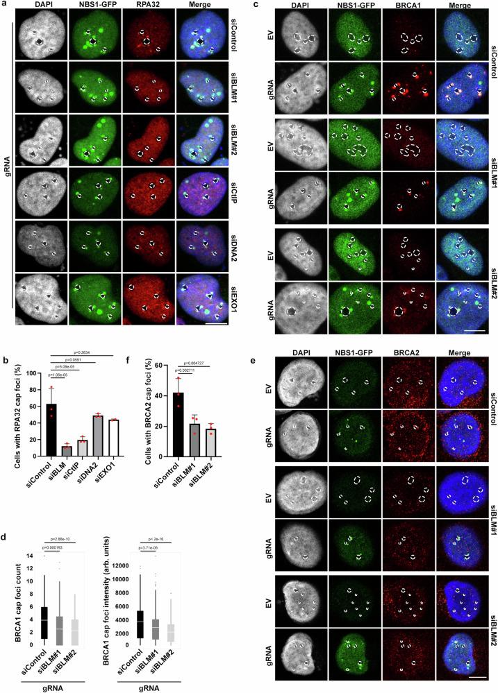 https://cdn.ncbi.nlm.nih.gov/pmc/blobs/71fc/11379943/da6f9fc10063/41467_2024_52189_Fig2_HTML.jpg