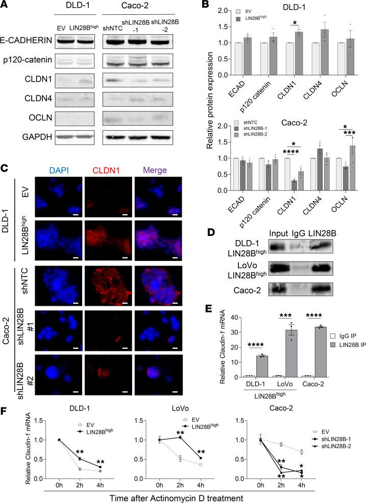 https://cdn.ncbi.nlm.nih.gov/pmc/blobs/71fd/10443801/b438b3f331d1/jciinsight-8-167310-g121.jpg
