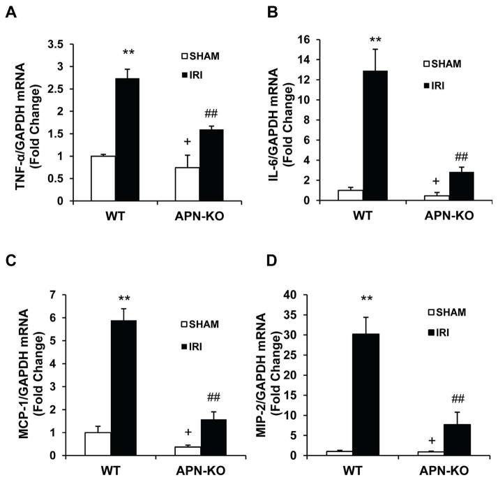 https://cdn.ncbi.nlm.nih.gov/pmc/blobs/71ff/3612389/7ffb71673d35/nihms424673f7.jpg