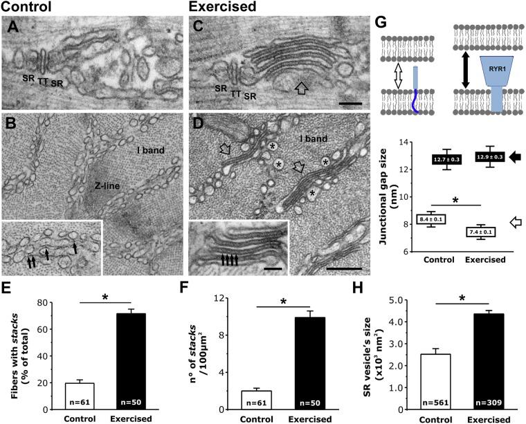 https://cdn.ncbi.nlm.nih.gov/pmc/blobs/71ff/5660245/d57768ec35b2/41598_2017_14134_Fig1_HTML.jpg