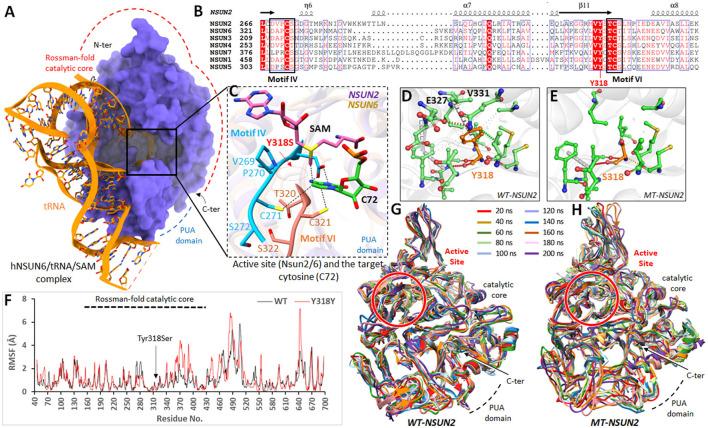 https://cdn.ncbi.nlm.nih.gov/pmc/blobs/7200/10249782/a478ad5759f6/fneur-14-1168307-g0003.jpg