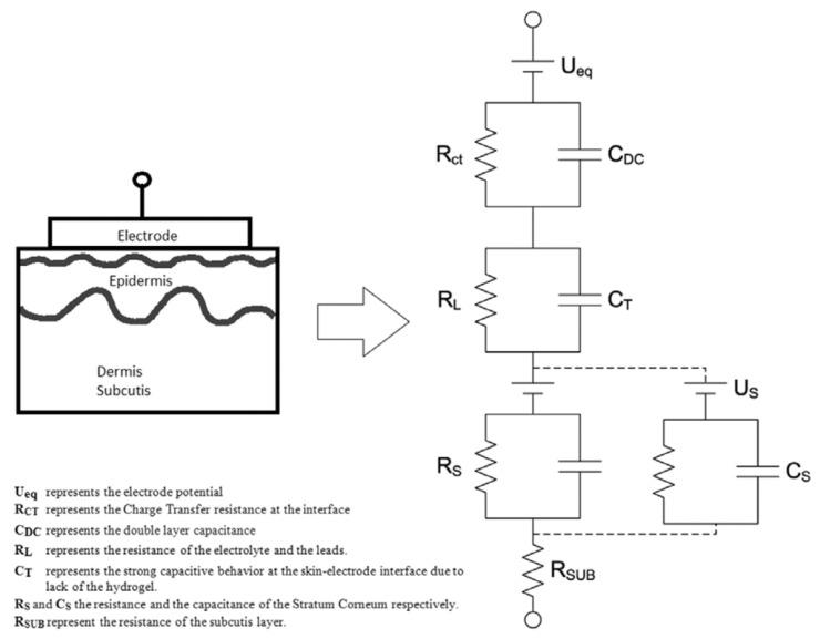 https://cdn.ncbi.nlm.nih.gov/pmc/blobs/7200/8470234/832ac63e2eb2/sensors-21-06042-g005.jpg