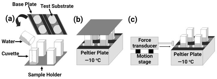 https://cdn.ncbi.nlm.nih.gov/pmc/blobs/7201/10342894/c36e6b4a4f4d/materials-16-04607-g017.jpg