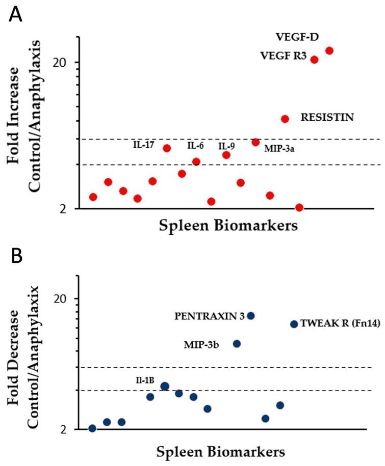 https://cdn.ncbi.nlm.nih.gov/pmc/blobs/7201/10743909/d3df29df5016/ijms-24-17247-g007.jpg