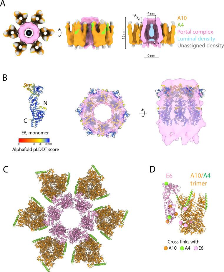 https://cdn.ncbi.nlm.nih.gov/pmc/blobs/7201/10865856/6ba9471b5c06/mbio.03134-23.f005.jpg