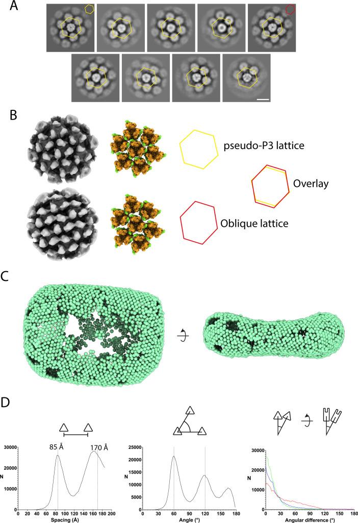 https://cdn.ncbi.nlm.nih.gov/pmc/blobs/7201/10865856/7f13b31ecfe8/mbio.03134-23.f004.jpg