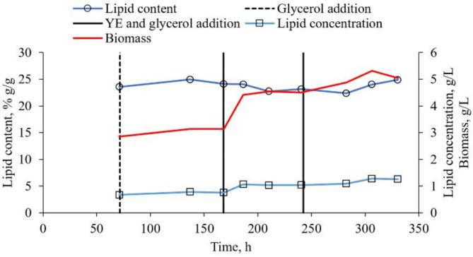 https://cdn.ncbi.nlm.nih.gov/pmc/blobs/7201/11807037/617b8bcce2fe/13568_2025_1834_Fig5_HTML.jpg