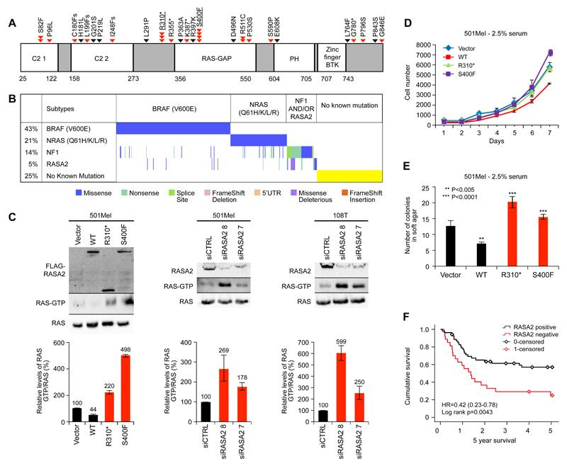 https://cdn.ncbi.nlm.nih.gov/pmc/blobs/7201/4954601/99ce54f9c26f/emss-65345-f001.jpg