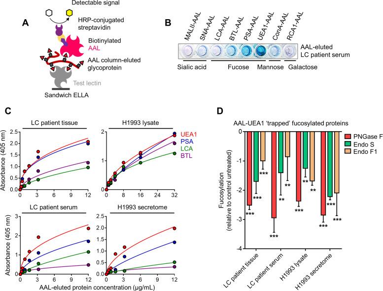 https://cdn.ncbi.nlm.nih.gov/pmc/blobs/7203/10089660/0fa7cca3e36b/elife-75191-fig1-figsupp7.jpg