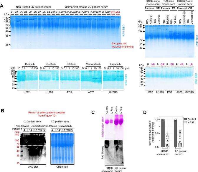 https://cdn.ncbi.nlm.nih.gov/pmc/blobs/7203/10089660/15add807f3a7/elife-75191-fig1-figsupp4.jpg