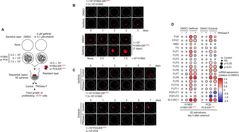 https://cdn.ncbi.nlm.nih.gov/pmc/blobs/7203/10089660/323f7db5700b/elife-75191-fig2-figsupp5.jpg