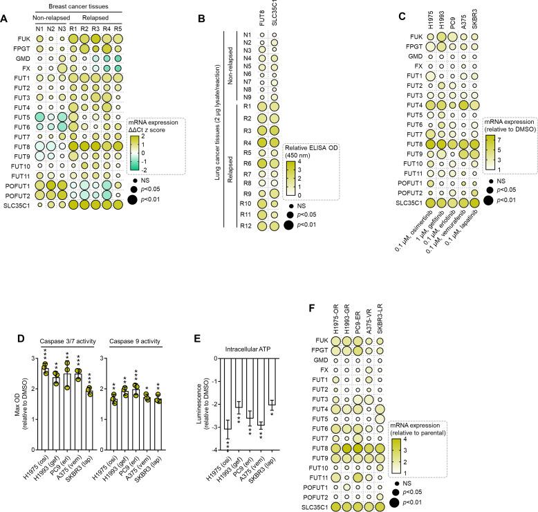 https://cdn.ncbi.nlm.nih.gov/pmc/blobs/7203/10089660/387e48171ea8/elife-75191-fig1-figsupp8.jpg