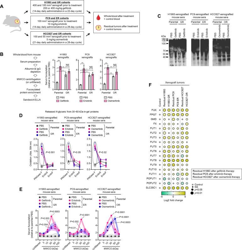 https://cdn.ncbi.nlm.nih.gov/pmc/blobs/7203/10089660/3ca743e5941e/elife-75191-fig1-figsupp11.jpg