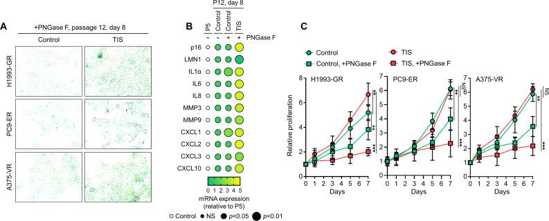 https://cdn.ncbi.nlm.nih.gov/pmc/blobs/7203/10089660/5be8d2026cfc/elife-75191-fig2-figsupp6.jpg